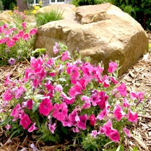 landscapers newburgh indiana