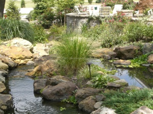pond landscaping design evansville IN