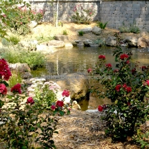 Evansville IN Landscaping 8
